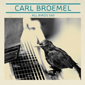 Carl Broemel - All Birds Say CD Review and Free MP3 Download
